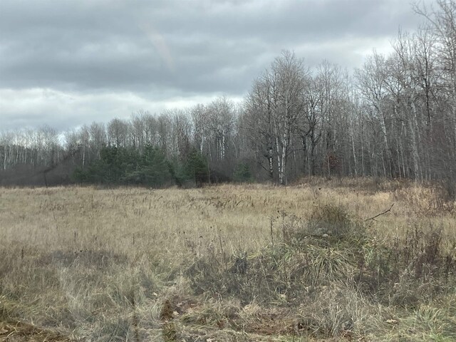 10420 E Newman Rd, Merritt, MI 49667 - photo 34