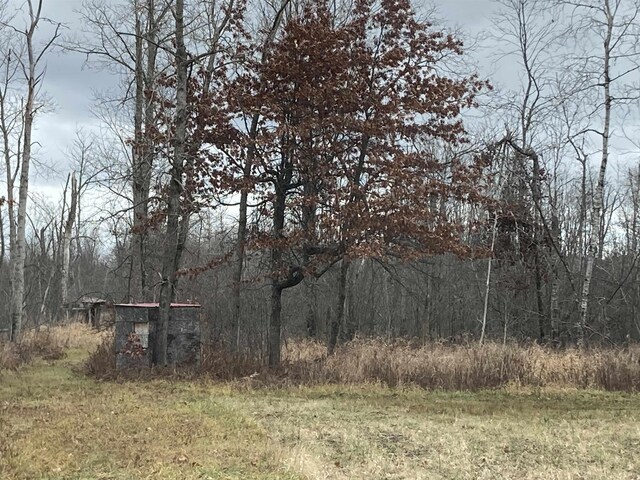 10420 E Newman Rd, Merritt, MI 49667 - photo 38