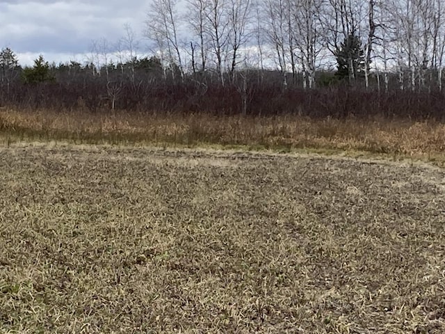10420 E Newman Rd, Merritt, MI 49667 - photo 39