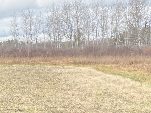 10420 E Newman Rd, Merritt, MI 49667 - photo 40