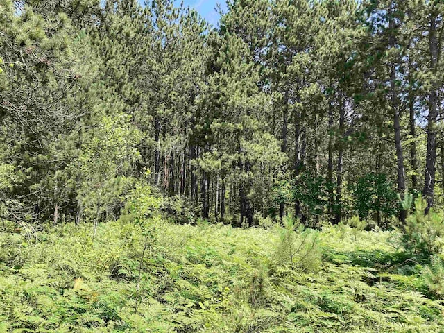 10420 E Newman Rd, Merritt, MI 49667 - photo 44