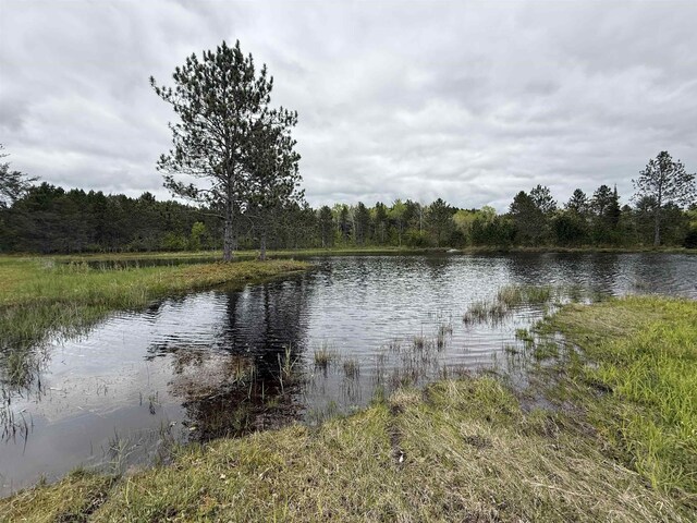 10420 E Newman Rd, Merritt, MI 49667 - photo 46