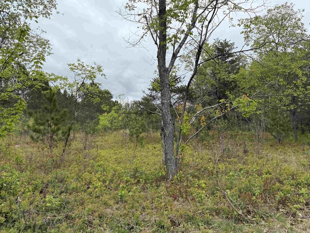 10420 E Newman Rd, Merritt, MI 49667 - photo 47