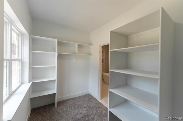 spacious closet with light carpet