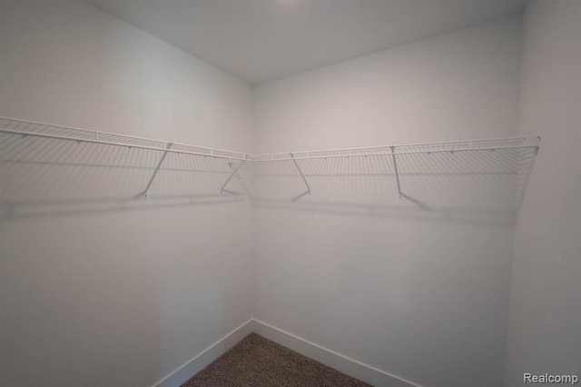 spacious closet featuring carpet floors