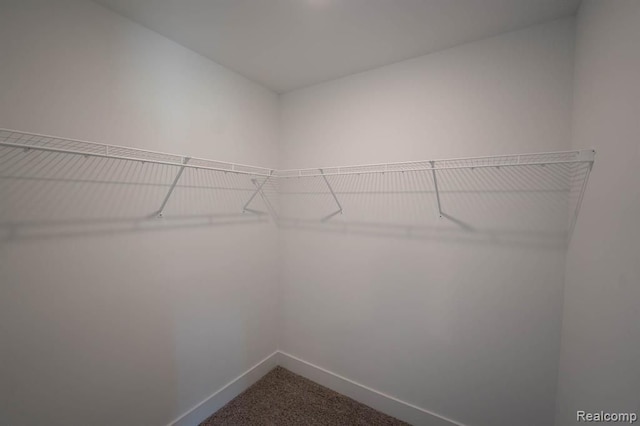 02 Textile, Saline, MI 48176 - spacious closet with dark colored carpet