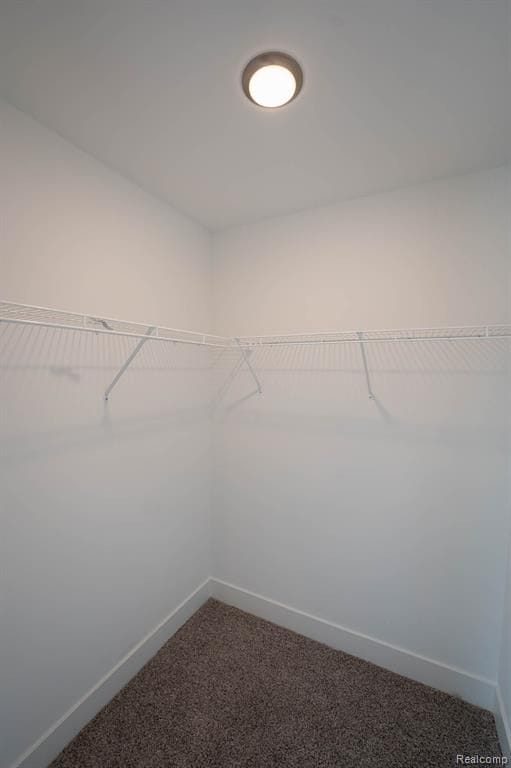 walk in closet featuring carpet