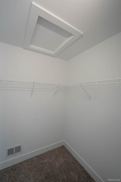 spacious closet featuring carpet flooring