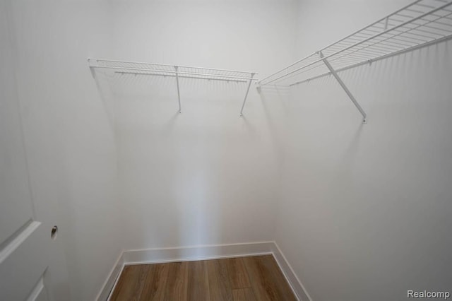 spacious closet with hardwood / wood-style flooring