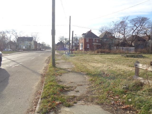 2401 Baldwin St, Detroit, MI 48214 - photo 11