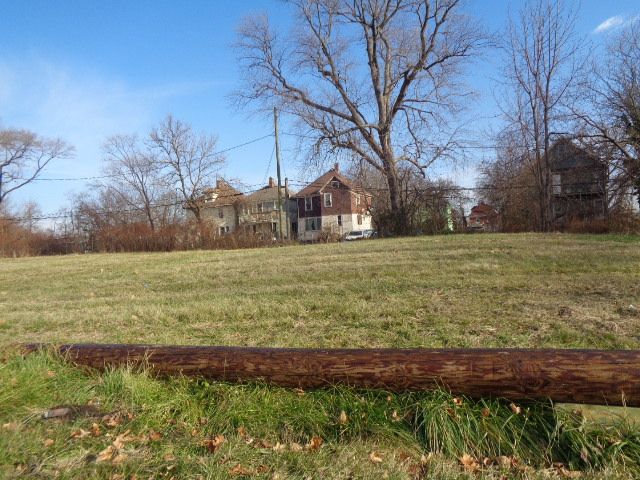 2926 Sheridan St, Detroit, MI 48214 - photo 4
