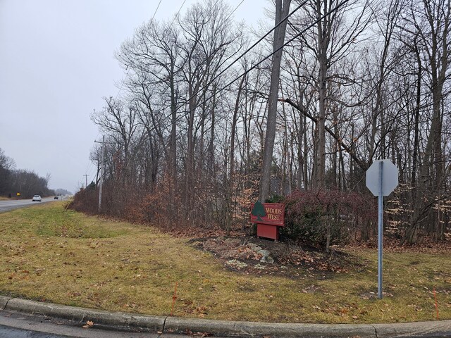 2291 Woods W Dr, Flushing, MI 48433 - photo 16