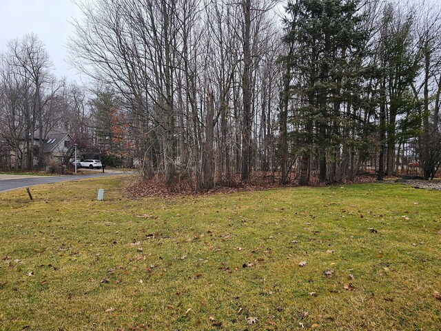 2291 Woods W Dr, Flushing, MI 48433 - photo 18