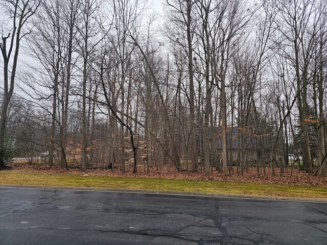 2291 Woods W Dr, Flushing, MI 48433 - photo 19
