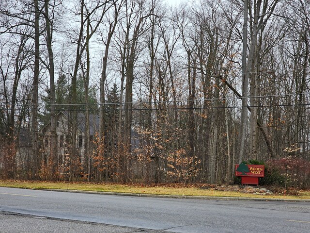 2291 Woods W Dr, Flushing, MI 48433 - photo 22