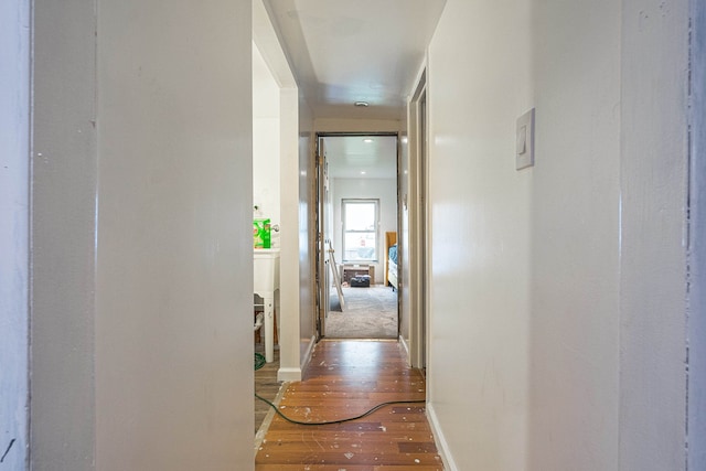 hallway with hardwood / wood-style flooring