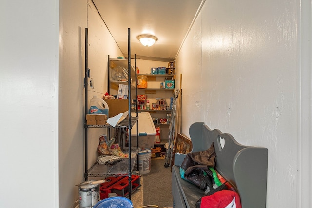 view of storage room