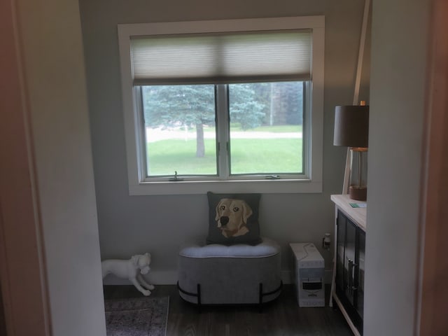 sitting room featuring plenty of natural light and dark wood-type flooring