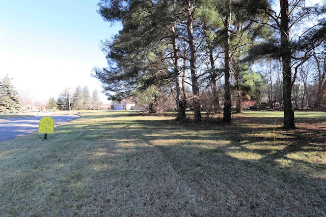 Crooked Limb Ct, Flushing MI, 48433 land for sale