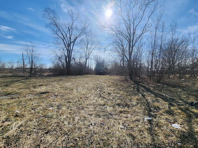 713 Annin St, Highland Park, MI 48203