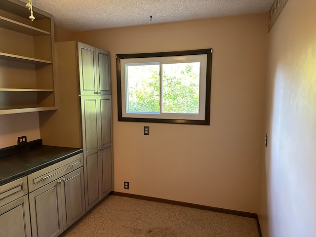 interior space with a textured ceiling and light carpet