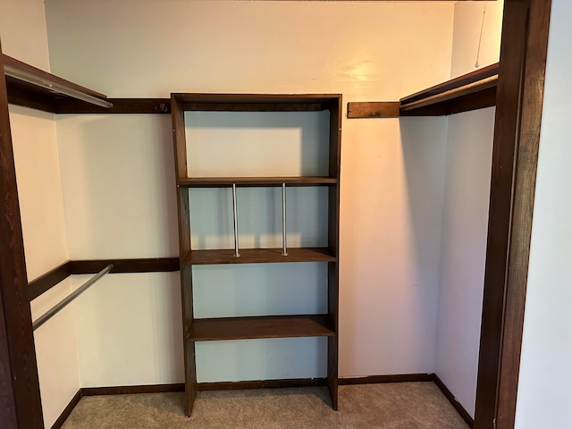 walk in closet featuring carpet flooring