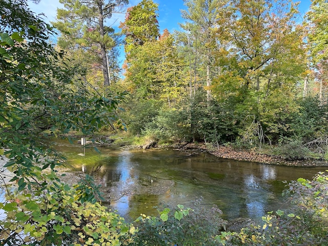 view of water feature