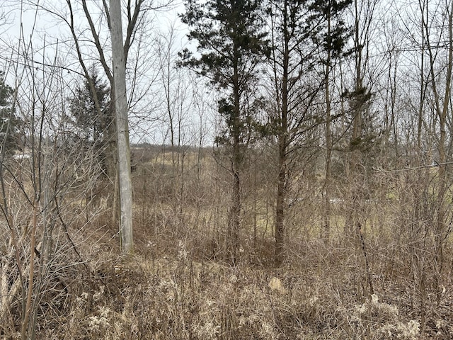 12124 Hill Rd, Goodrich MI, 48438 land for sale