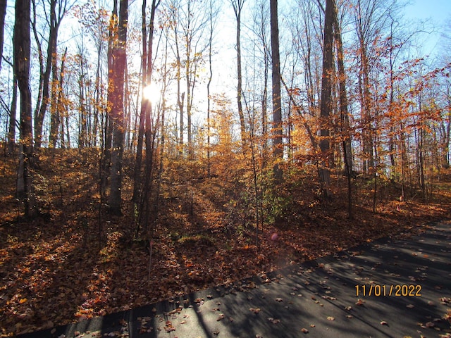 4167 Maple Hill Rd, Grawn MI, 49637 land for sale