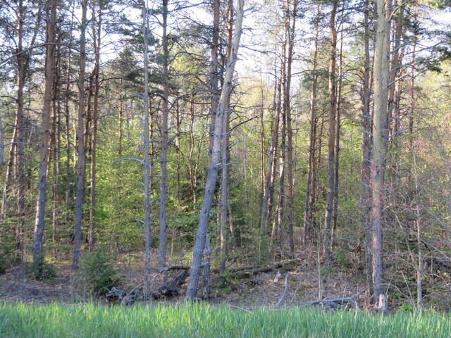 4181 Maple Hill Rd, Grawn, MI 49637