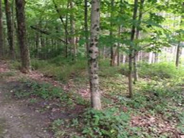 4181 Maple Hill Rd, Grawn, MI 49637