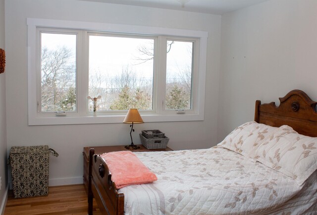 122 Park Ave, Frankfort, MI 49635 - bedroom with multiple windows, wood finished floors, and baseboards