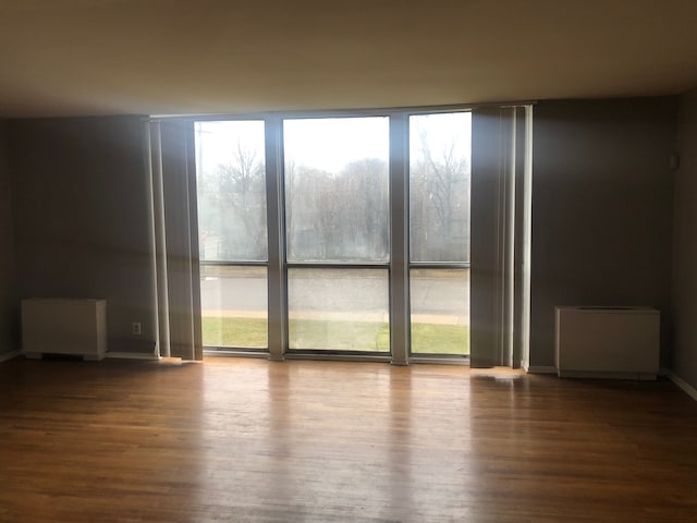 spare room featuring wood-type flooring