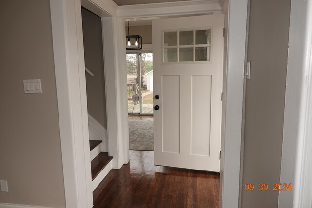 entrance foyer featuring dark hardwood / wood-style flooring and a notable chandelier