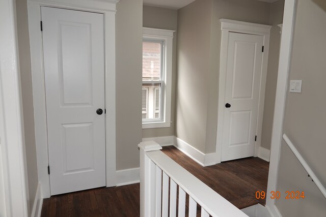 hall featuring a wealth of natural light and dark hardwood / wood-style floors