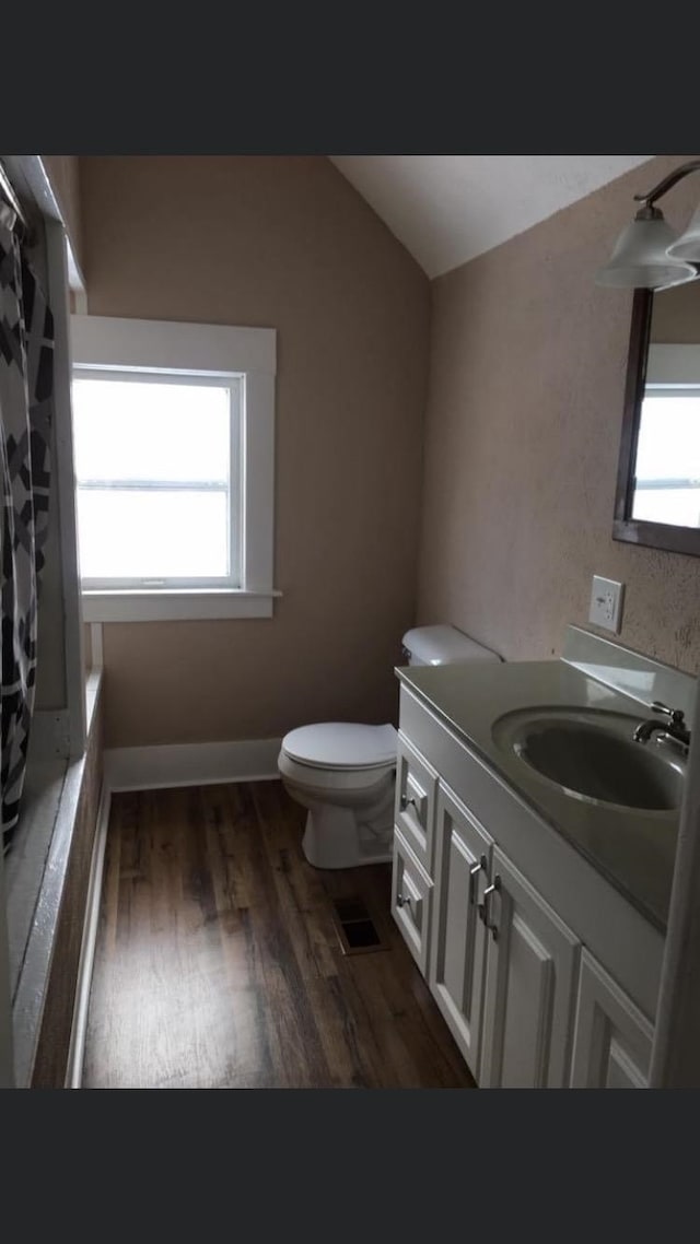 bathroom featuring hardwood / wood-style floors, vanity, a healthy amount of sunlight, and toilet