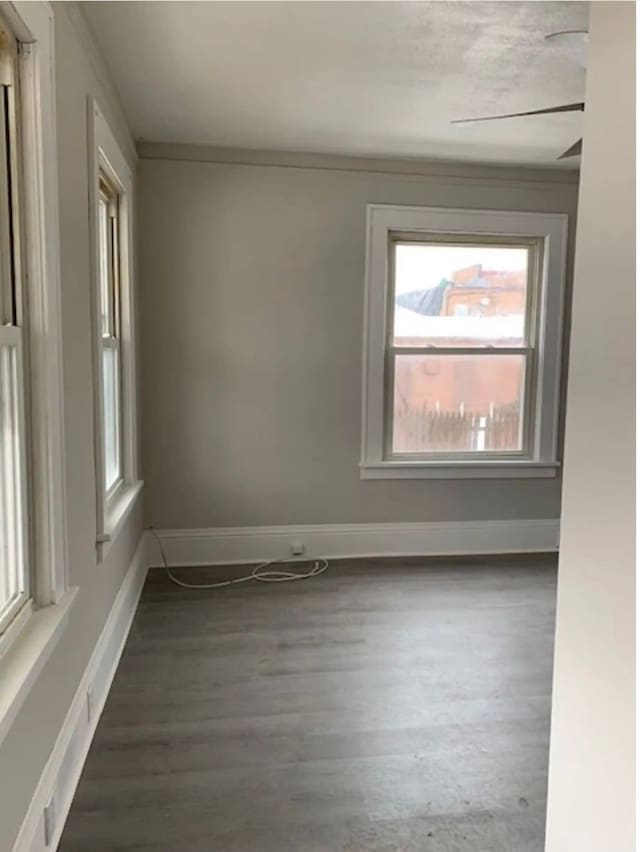 spare room with dark hardwood / wood-style floors, ceiling fan, and crown molding