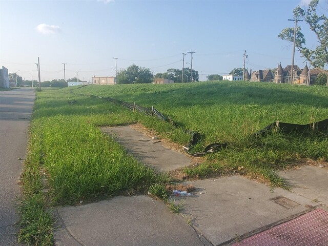 1932 W Alexandrine St, Detroit, MI 48208 - photo 6