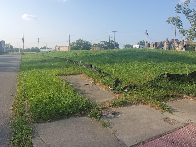 1932 W Alexandrine St, Detroit MI, 48208 land for sale