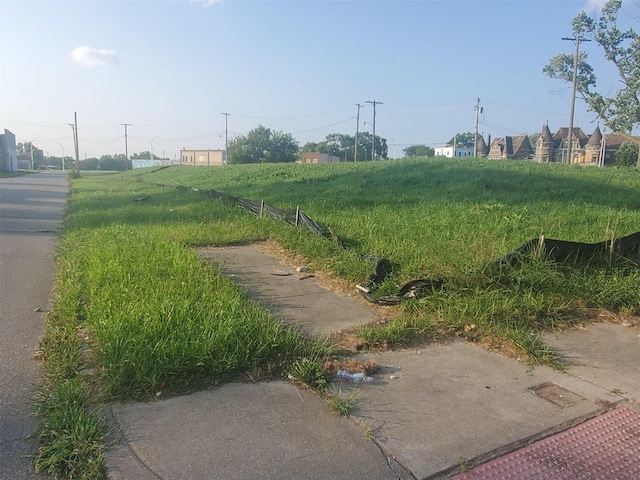 1932 W Alexandrine St, Detroit, MI 48208 - photo 1
