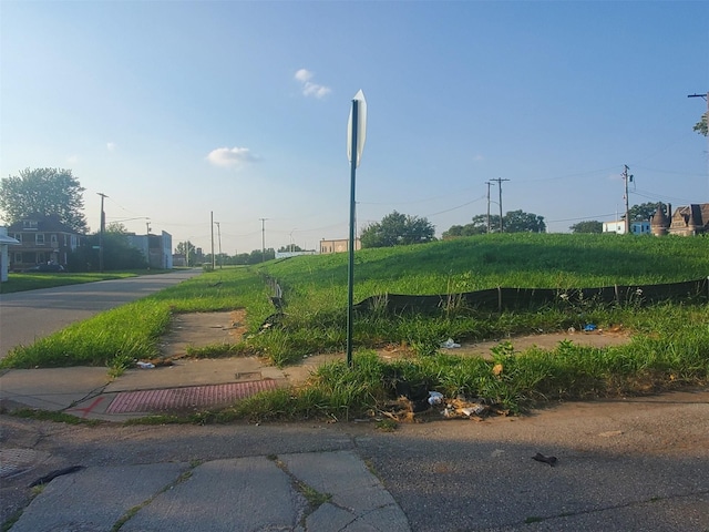 1932 W Alexandrine St, Detroit, MI 48208 - photo 5