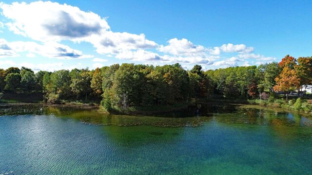 0 Silver Hbr, Traverse City, MI 49684 - photo 6