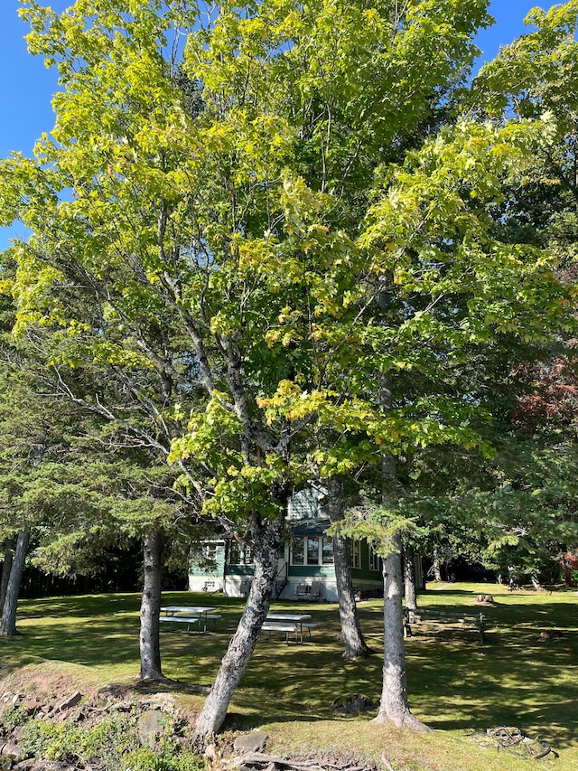 exterior space featuring a yard