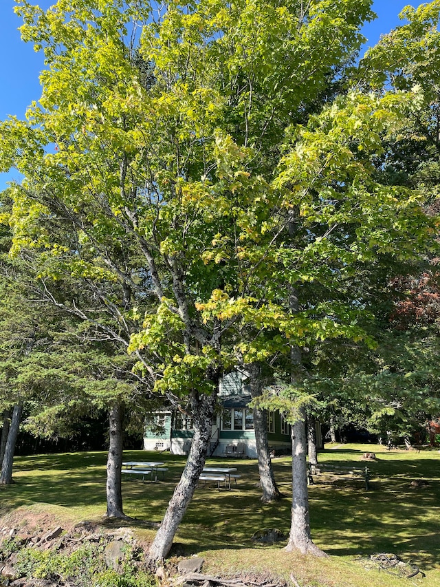 9516 State Highway M64, Marenisco, MI 49947 - view of front of property with a front yard