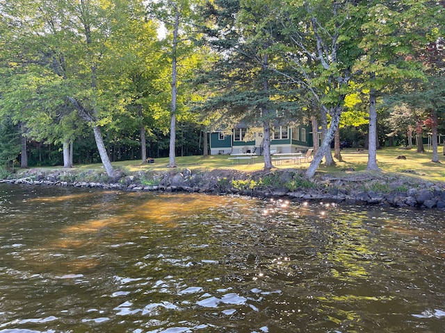 9516 State Highway M64, Marenisco, MI 49947 - water view