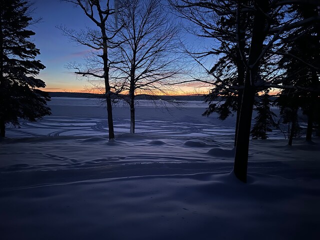 9516 State Highway M64, Marenisco, MI 49947 - view of yard