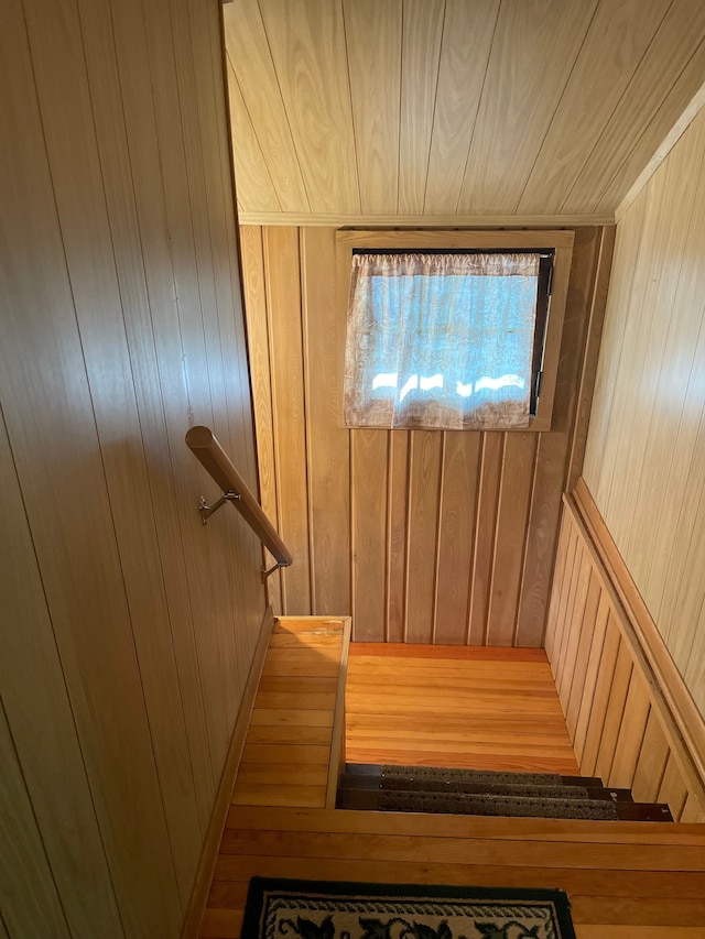 staircase featuring hardwood / wood-style floors and wood walls