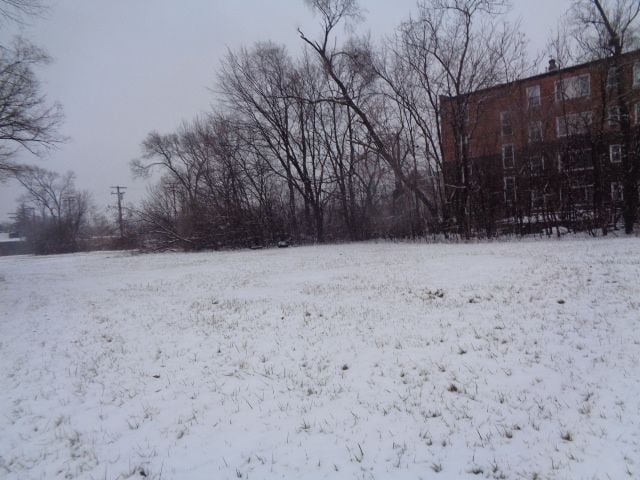 2691 Rochester St, Detroit, MI 48206