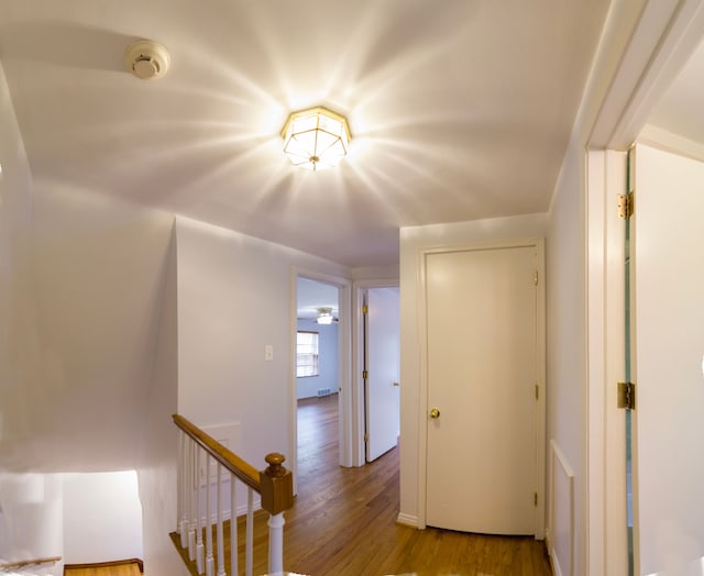 corridor with wood-type flooring