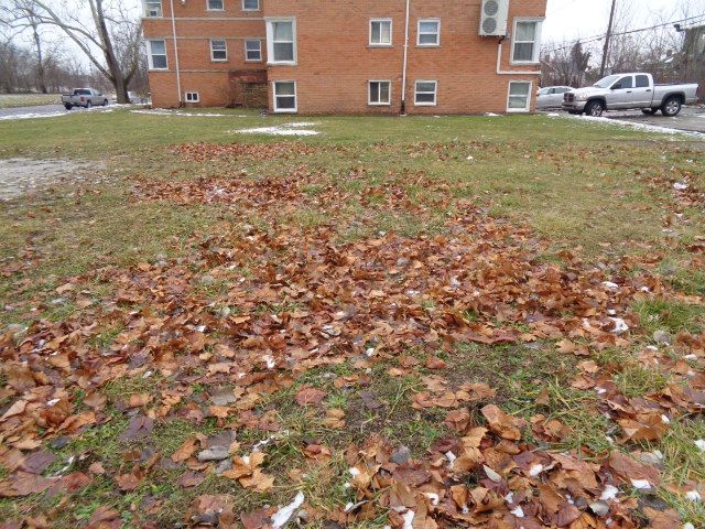 3200 W Boston Blvd, Detroit, MI 48206